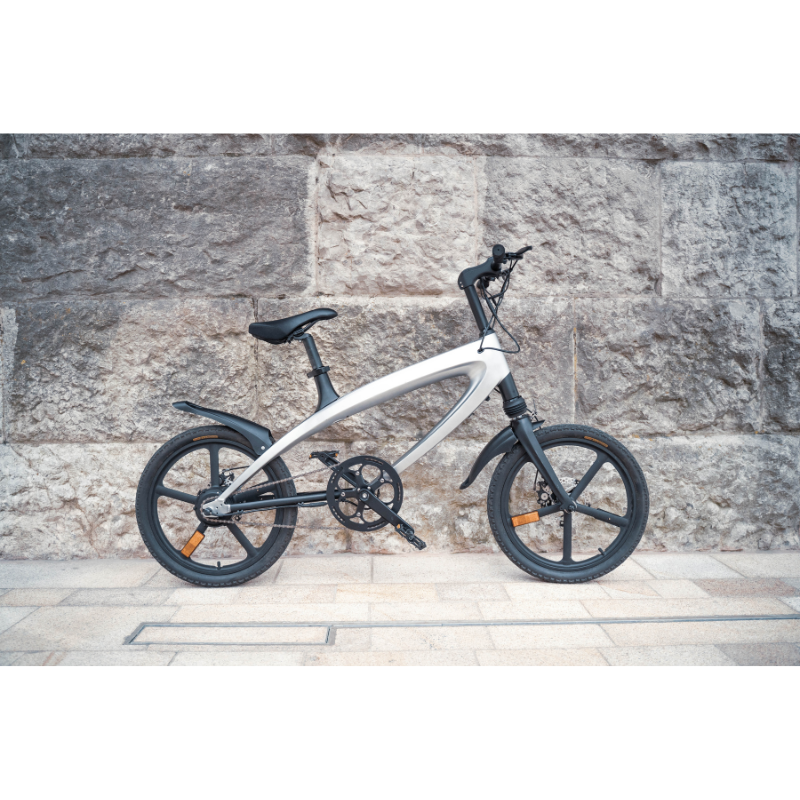 Cruzaa Electric Bike With Integrated Speakers